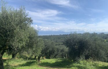 Αγροτεμάχιο Βελίκα