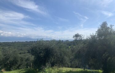 Αγροτεμάχιο Βελίκα