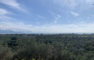 Αγροτεμάχιο Βελίκα