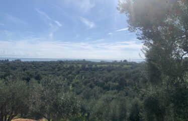 Αγροτεμάχιο Βελίκα