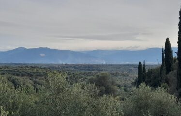 Οικόπεδο Δρακονέρι