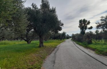 Οικόπεδο Δρακονέρι