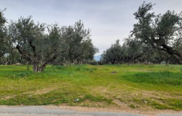 Οικόπεδο Δρακονέρι