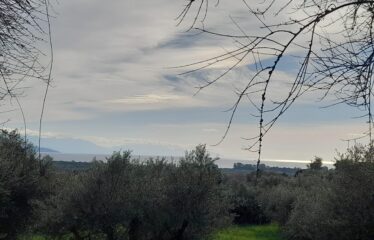 Οικόπεδο Δρακονέρι