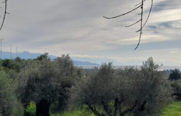 Οικόπεδο Δρακονέρι