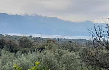 Οικόπεδο Δρακονέρι