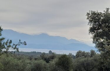 Οικόπεδο Δρακονέρι