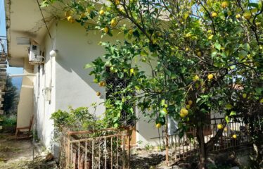 Μονοκατοικία Αριστοδήμειο