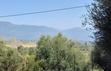 Μονοκατοικία Αριστοδήμειο