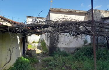 Μονοκατοικία Πιπερίτσα