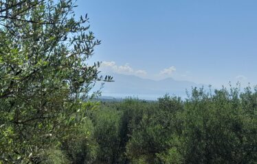 Αγροτεμάχιο Νεοχώρι Μεσσήνης