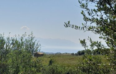 Αγροτεμάχιο Νεοχώρι Μεσσήνης