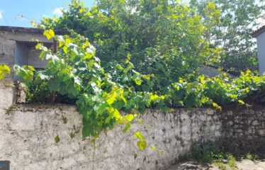 Μονοκατοικία Κάμπος Αβίας