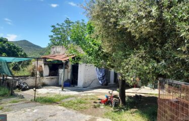 Μονοκατοικία Κάμπος Αβίας