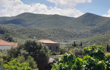 Μονοκατοικία Κάμπος Αβίας