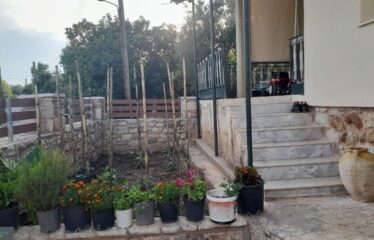 Μονοκατοικία Αριστοδήμειο