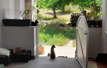 Μονοκατοικία Μεσσήνη