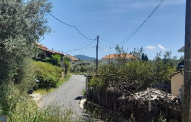 Μονοκατοικία Χώρα