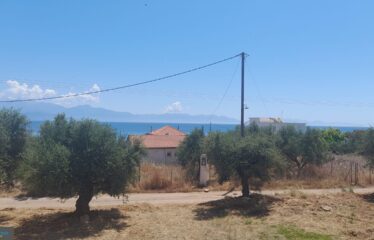 ΞΕΝΟΔΟΧΕΙΟ ΕΠΙΣΚΟΠΗ