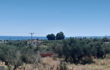 ΞΕΝΟΔΟΧΕΙΟ ΕΠΙΣΚΟΠΗ
