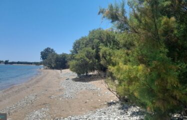 ΞΕΝΟΔΟΧΕΙΟ ΕΠΙΣΚΟΠΗ