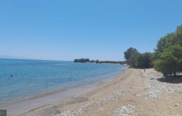 ΞΕΝΟΔΟΧΕΙΟ ΕΠΙΣΚΟΠΗ