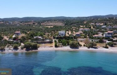 ΞΕΝΟΔΟΧΕΙΟ ΕΠΙΣΚΟΠΗ