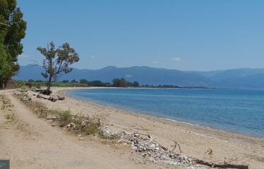 Πεταλίδι αγροτεμάχιο με οικία