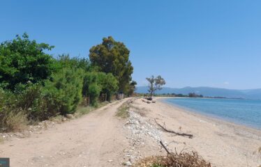 Πεταλίδι αγροτεμάχιο με οικία
