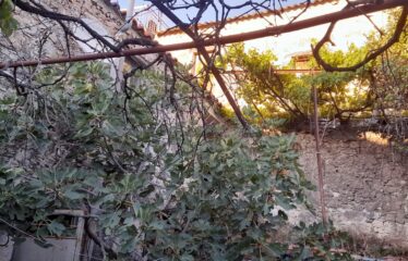 Μονοκατοικία Μεγάλη Μαντίνεια