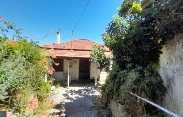 Μονοκατοικία Λευκοχώρα
