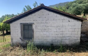 Αγροτεμάχιο ελαιοπεριβολο