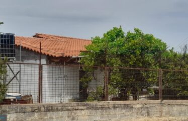 ΜΟΝΟΚΑΤΟΙΚΙΑ 40 Τ.Μ. | ΛΑΜΠΑΙΝΑ ΙΘΩΜΗΣ, ΜΕΣΣΗΝΙΑ