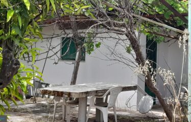 ΜΟΝΟΚΑΤΟΙΚΙΑ 40 Τ.Μ. | ΛΑΜΠΑΙΝΑ ΙΘΩΜΗΣ, ΜΕΣΣΗΝΙΑ