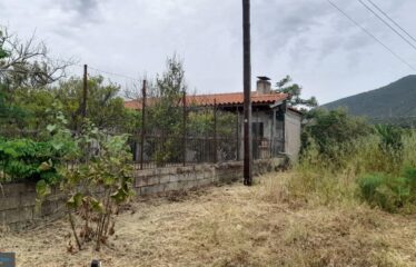 ΜΟΝΟΚΑΤΟΙΚΙΑ 40 Τ.Μ. | ΛΑΜΠΑΙΝΑ ΙΘΩΜΗΣ, ΜΕΣΣΗΝΙΑ