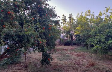 Μονοκατοικία Στερνα