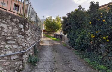 ΒΡΥΣΕΣ ΚΥΠΑΡΙΣΙΑΣ