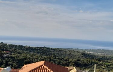 ΒΡΥΣΕΣ ΚΥΠΑΡΙΣΙΑΣ