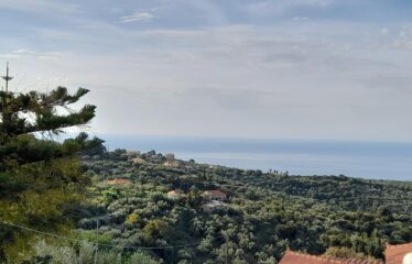 ΒΡΥΣΕΣ ΚΥΠΑΡΙΣΙΑΣ