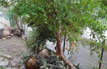 Κατοικία Καλλιρόη