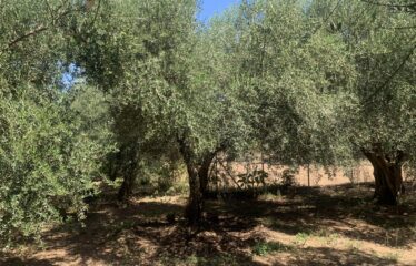 Πωλείται